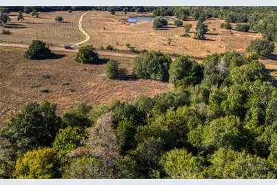 Tbd-1 Greenvine Road, Brenham, TX 77833 - Photo 1