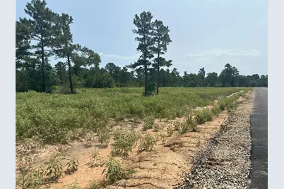 31824 Boone Road, Waller, TX 77484 - Photo 8