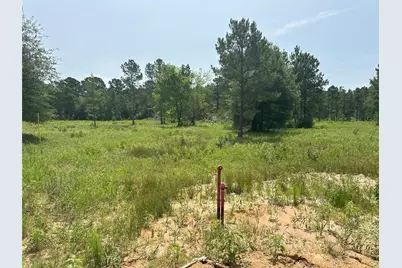 31824 Boone Road, Waller, TX 77484 - Photo 12