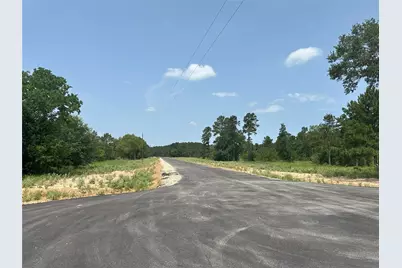 31824 Boone Road, Waller, TX 77484 - Photo 14