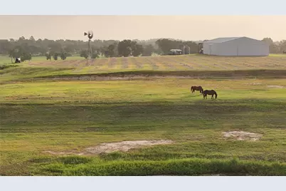 3285 Fm 2562 Road, Anderson, TX 77830 - Photo 4