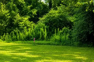 1785 S Byrd Ave, Shepherd, TX 77371 - Photo 14