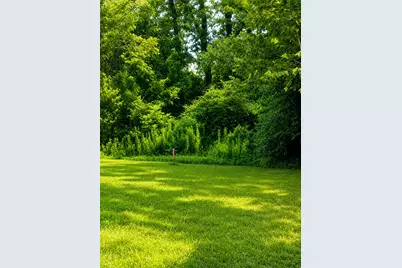 1785 S Byrd Avenue, Shepherd, TX 77371 - Photo 14