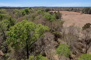 1533 Kickapoo Rd Rd, Groveton, TX 75845 - Photo 40