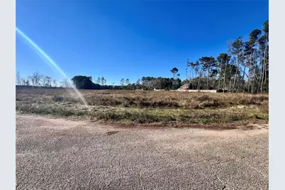 000000 Ladybug Court, Porter Heights, TX 77365 - Photo 4