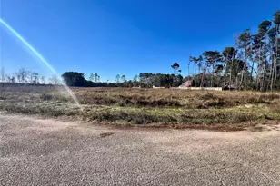 000000 Ladybug Ct, Porter Heights, TX 77365 - Photo 4