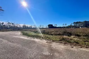 000000 Ladybug Ct, Porter Heights, TX 77365 - Photo 6