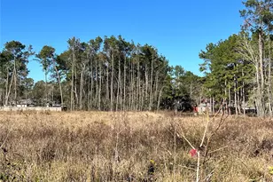 000000 Ladybug Ct, Porter Heights, TX 77365 - Photo 10