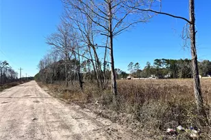 000000 Ladybug Ct, Porter Heights, TX 77365 - Photo 8