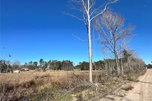 000000 Ladybug Ct, Porter Heights, TX 77365 - Photo 14