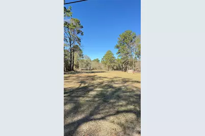 19559 Petty Walker Road, Conroe, TX 77306 - Photo 2
