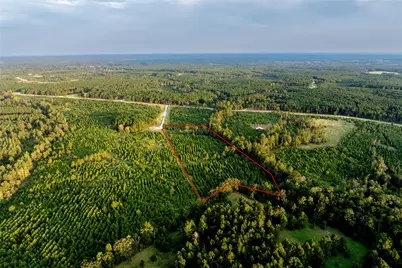 1999 Cherokee Trail, Lovelady, TX 75851 - Photo 14