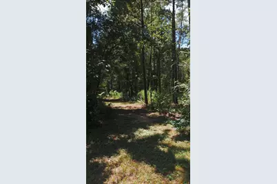 615 Saddlebrook Lane, Tomball, TX 77375 - Photo 6