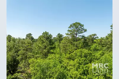 00 Linn Flat Road, Garrison, TX 75946 - Photo 12