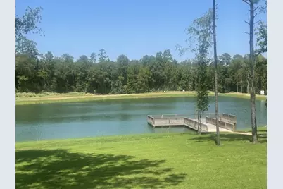 101 Longfellow Road, New Waverly, TX 77358 - Photo 14