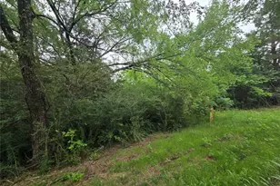 Lots 632 & 633 Shoshone Dr, Gordonville, TX 76245 - Photo 2