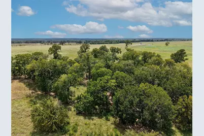 Tbd Tract 5 Fm-2819, Anderson, TX 77830 - Photo 12