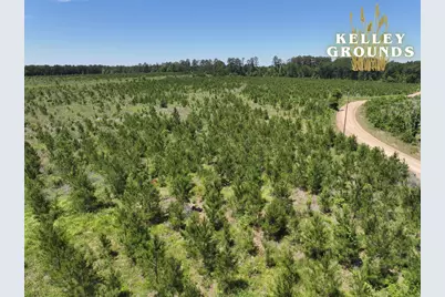 3-4 A Kelley Road, Livingston, TX 77351 - Photo 2