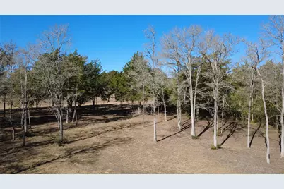 8272 Timber Bridge Lane, Chappell Hill, TX 77426 - Photo 20
