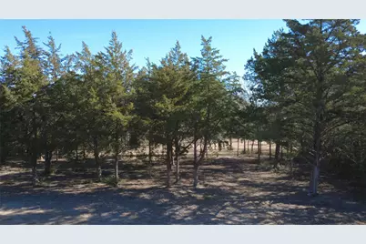8272 Timber Bridge Lane, Chappell Hill, TX 77426 - Photo 6