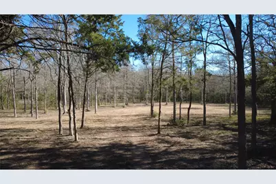 8272 Timber Bridge Lane, Chappell Hill, TX 77426 - Photo 2