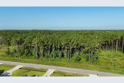 3167 Road 66125, Dayton, TX 77535 - Photo 6