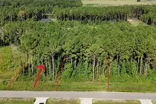 3167 Rd 66125, Dayton, TX 77535 - Photo 1