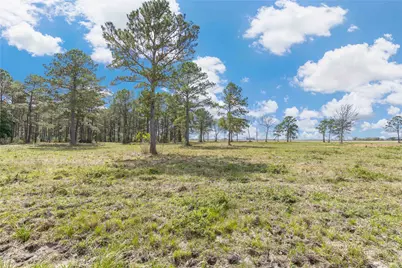 126 Acres @ Highway 61, Devers, TX 77538 - Photo 18