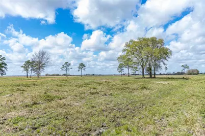 126 Acres @ Highway 61, Devers, TX 77538 - Photo 16