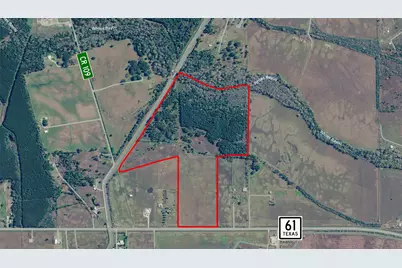 126 Acres @ Highway 61, Devers, TX 77538 - Photo 10