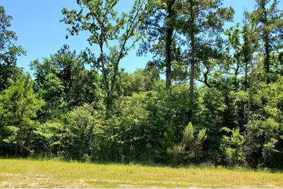 141 Kings Lake Estates Boulevard, Humble, TX 77346 - Photo 4