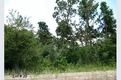 141 Kings Lake Estates Boulevard, Humble, TX 77346 - Photo 8