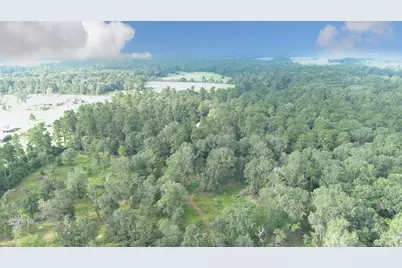 Lot 11 Gregory Lane, New Waverly, TX 77358 - Photo 4