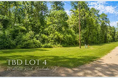 Tbd Mistletoe, Onalaska, TX 77360 - Photo 1
