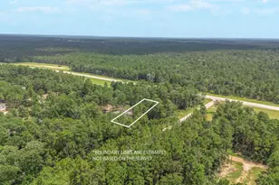 7996 Tawnyberry Ln, Plantersville, TX 77363 - Photo 20