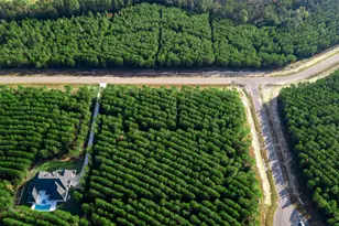 16326 Ridge Oak Rd, Willis, TX 77378 - Photo 12