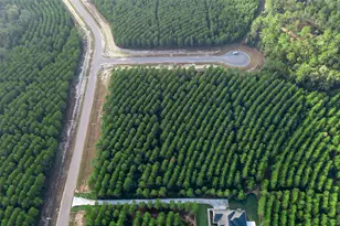 16326 Ridge Oak Rd, Willis, TX 77378 - Photo 10