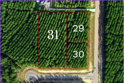 16326 Ridge Oak Road, Willis, TX 77378 - Photo 4