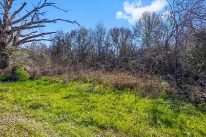 Tbd Bundic Road, North Zulch, TX 77872 - Photo 4