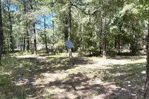 204 Knottypine, Livingston, TX 77351 - Photo 6