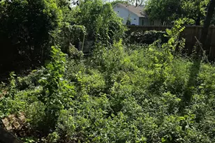 2305 Elysian St, Houston, TX 77026 - Photo 8