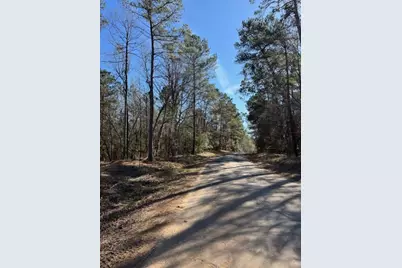 Tbd Lot 1 Horace Bonds Road, Livingston, TX 77351 - Photo 8