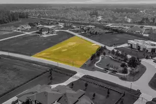 4028 Blenheim Terrace Ln, Spring, TX 77386 - Photo 4