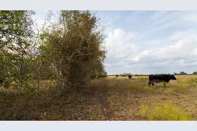 4646 Fm 2679 Road, Burton, TX 77835 - Photo 28
