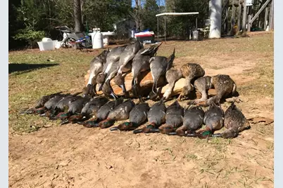 Tbd Cr 155, Centerville, TX 75833 - Photo 44