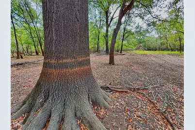 Tbd Cr 155, Centerville, TX 75833 - Photo 28