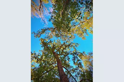 Tbd Cr 155, Centerville, TX 75833 - Photo 20