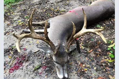 Tbd Cr 155, Centerville, TX 75833 - Photo 4