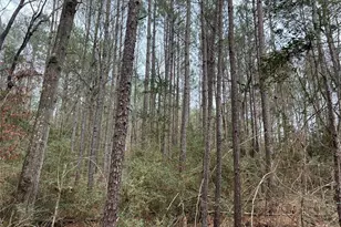 Tbd Baxter Rd, Livingston, TX 77351 - Photo 1