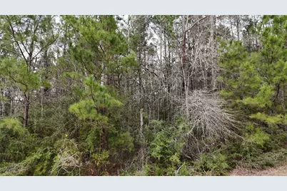 Tbd Baxter Road, Livingston, TX 77351 - Photo 16